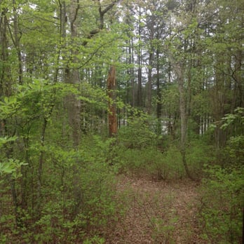 Butterfly Camping Resort - Resorts Near Me - Jackson, New Jersey