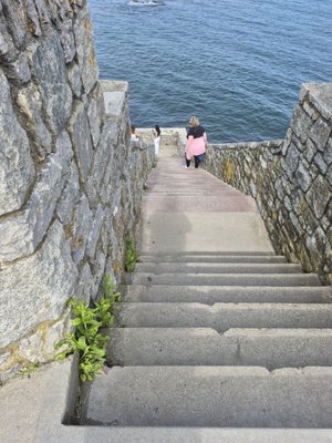 Cliff Walk by null