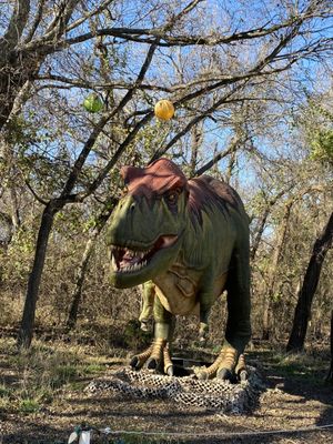 Heard Natural Science Museum & Wildlife Sanctuary by null
