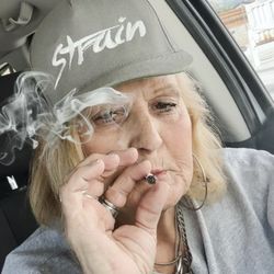 SUPPORTING STRAIN MAMMA OG -