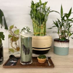 Whisk Matcha - Kyoto Snow!
