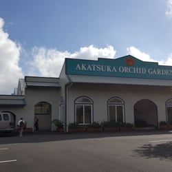 Hawaii Taxi & Tours