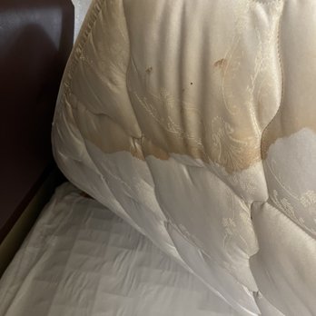 Larkspur Landing Campbell - Looks like blood stain. - Hotels Near Me - Campbell, California