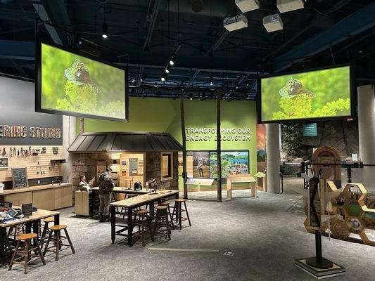 The Wild Center by null