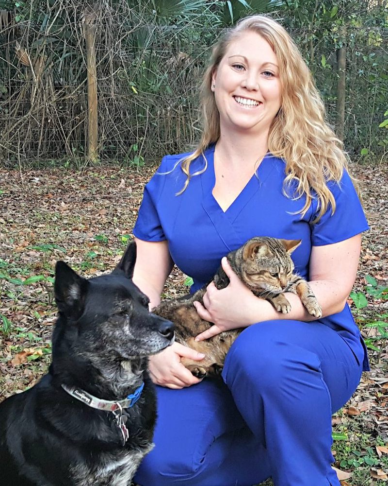 LOVING PAWS ANIMAL HOSPITAL Updated October 2024 2695 Tamiami Trl