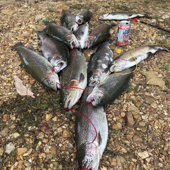 Rockbridge Trout Ranch - One day fishing and caught 35 pounds. - Lakes Near Me - Rockbridge, Missouri Rockbridge Trout Ranch - One day fishing and caught 35 pounds. - Lakes Near Me - Rockbridge, Missouri