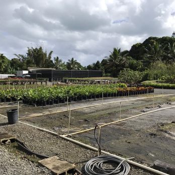 THE BEST 10 Nurseries & Gardening in Honolulu, HI - Last Updated August