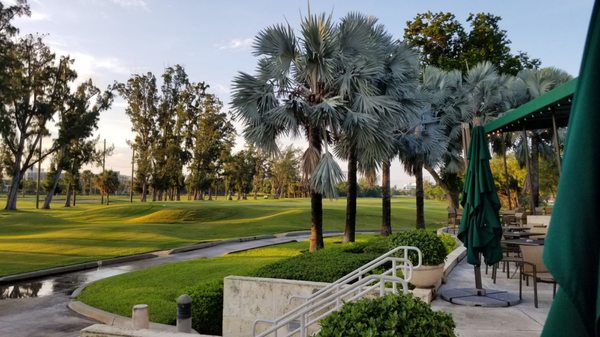 Miami Beach Golf Club by null