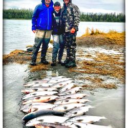 Kenai KingPin Sportfishing