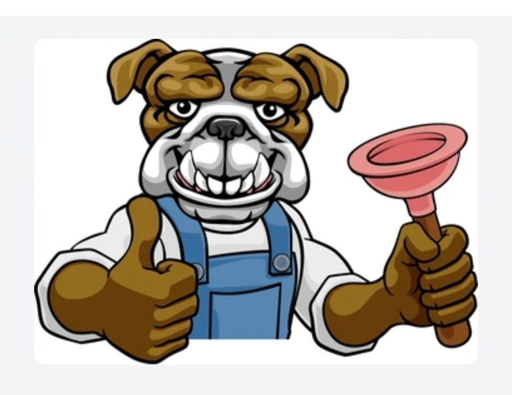 Slide of Bigdawg Drain Cleaning and Repair