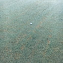 Lakeview Golf Club