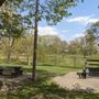 Photo of Duncan Park