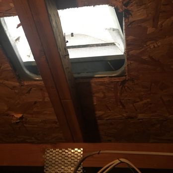 Adamant Pest Control - Not all half round dormers on your roof are sealed. Rats found they way on this one. - Pest Control Near Me Adamant Pest Control - Not all half round dormers on your roof are sealed. Rats found they way on this one. - Pest Control Near Me