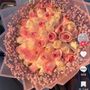 Photo of Gift Me Flowers