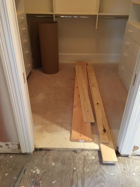 Slide of Spike Development