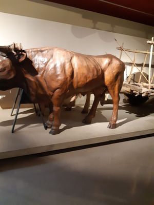 Arizona History Museum by null