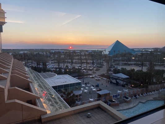 MOODY GARDENS HOTEL - 83 Photos & 60 Reviews - 7 Hope Blvd, Galveston