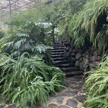 Estufa Fria - Botanical Gardens Near Me - Lisbon, 11