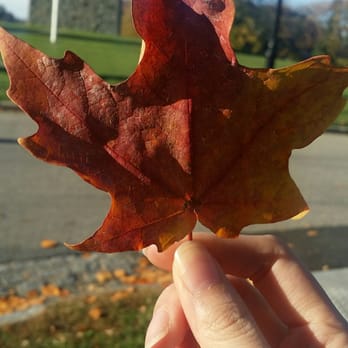 Bennington Battle Monument - Leaf picking! - Museums Near Me - Bennington, Vermont
