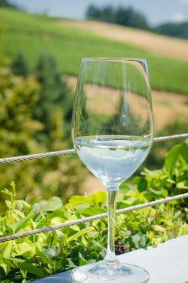 WillaKenzie Estate by null