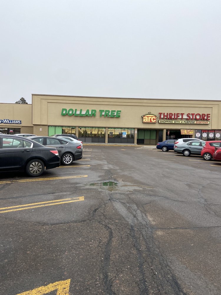 DOLLAR TREE Updated October 2024 16 Reviews 3106 S Parker Rd