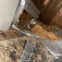 Photo of Get Em' Gone Critter And Wildlife Removal