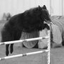 Photo of Splash 'n Dash K9 Sports
