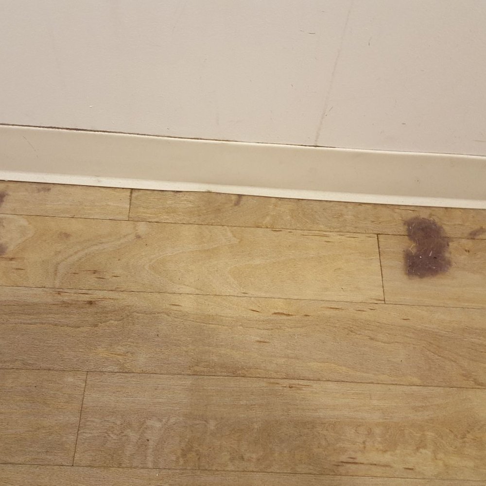 Tanger Outlets Riverhead - NEW YORK AND COMPANY DRESSING ROOM FLOOR. GROSS!!!!! - Outlet Stores Near Me - Riverhead, New York Tanger Outlets Riverhead - NEW YORK AND COMPANY DRESSING ROOM FLOOR. GROSS!!!!! - Outlet Stores Near Me - Riverhead, New York