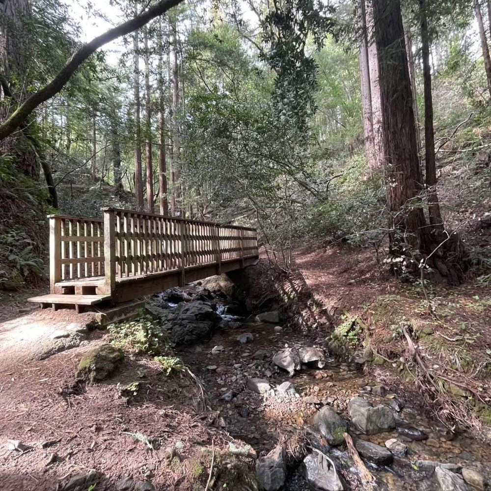 Cascade Park - Parks Near Me - Mill Valley, California