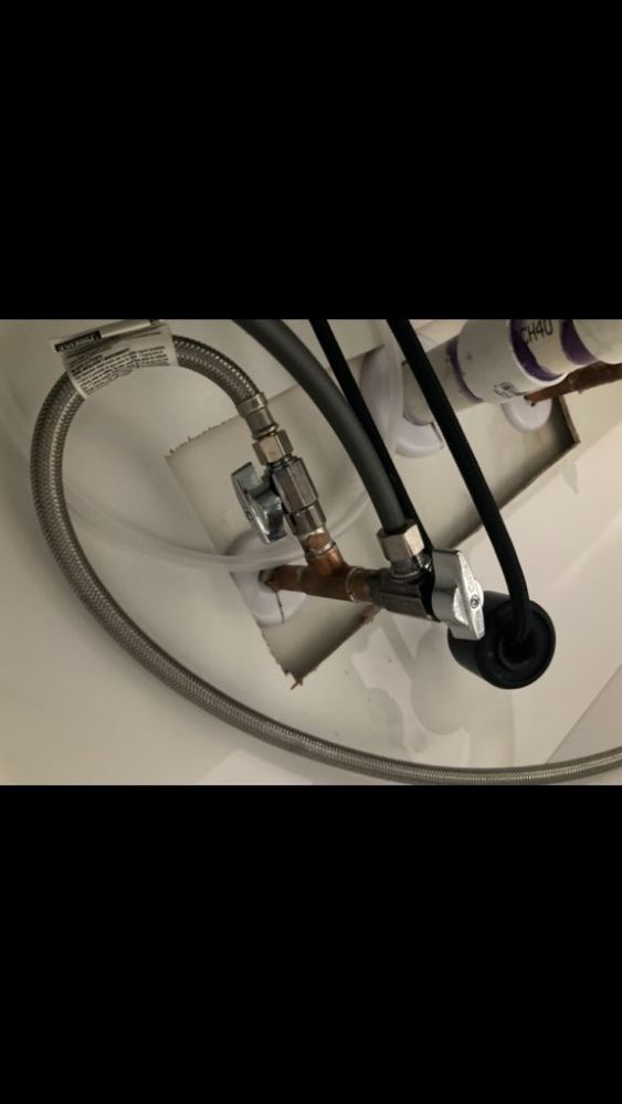 Slide of DT-Clogsman