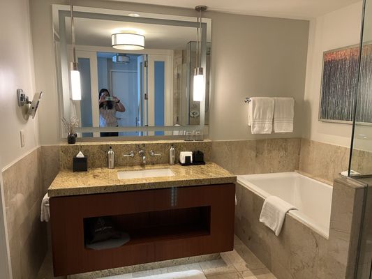 Four Seasons Hotel St. Louis by null