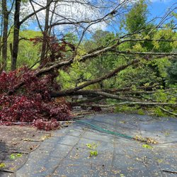 Bearwoods Pro Lawn Installing & Tree Services