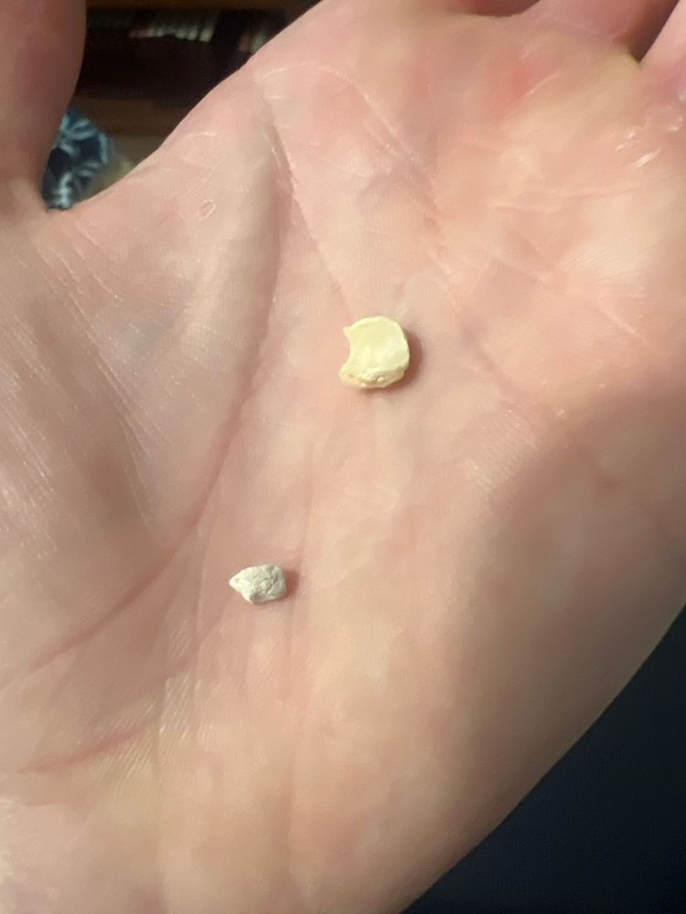 EASTMAN DENTAL CENTER Updated May 2024 41 Reviews 625 Elmwood Ave