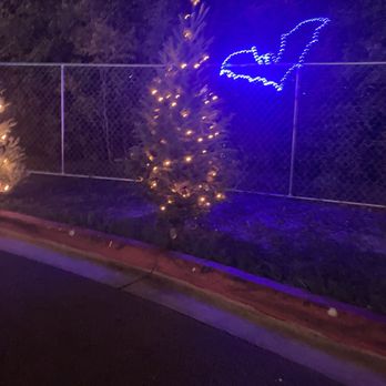 Austin Trail of Lights - Festivals Near Me - Austin, Texas Austin Trail of Lights - Festivals Near Me - Austin, Texas