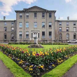 Maynooth University - University
