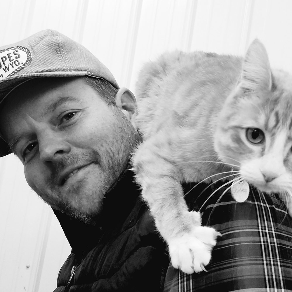 ST FRANCIS ANIMAL SHELTER Updated January 2026 10 Photos 109 st-francis-animal-shelter-updated-january-2026-10-photos-109