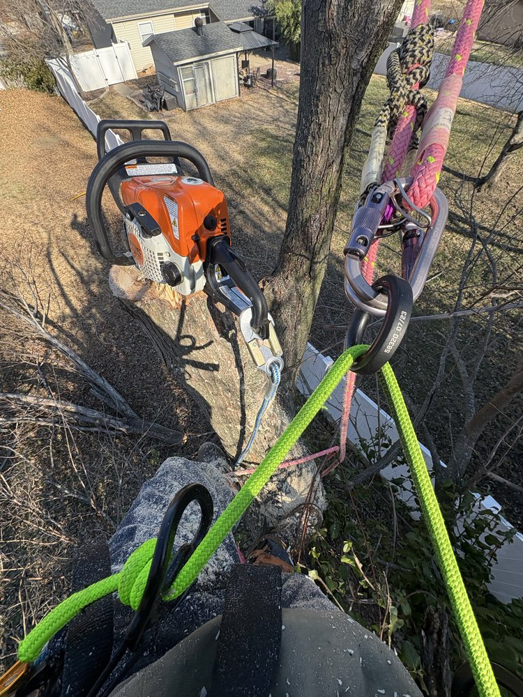 Top Notch Tree And Lawn - tree service in St Charles, MO