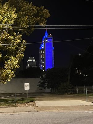 The Blind Mule by null