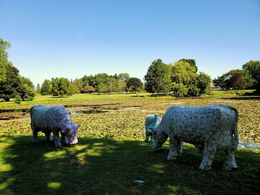 LYNDEN SCULPTURE GARDEN 156 Photos & 18 Reviews Parks 2145 W
