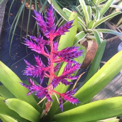 Green Barn Orchid Supplies