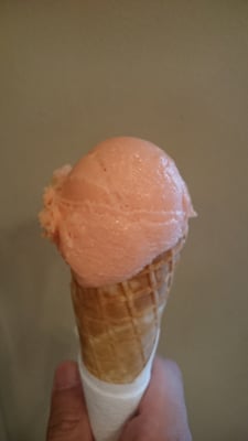 True & 12 Handmade Ice Cream by null