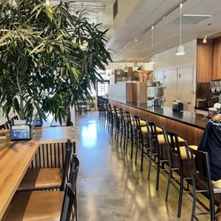 Boring Rose Brewing