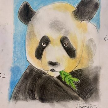 Drawn2Art - Pasadena - Art Schools Near Me - Pasadena, California