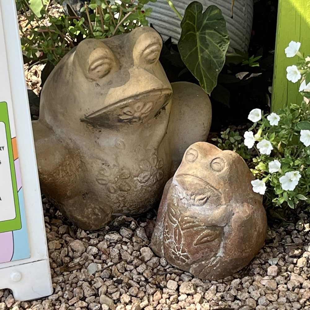 JuiceLand - Resident frogs - Juice Bars & Smoothies Near Me - Austin, Texas JuiceLand - Resident frogs - Juice Bars & Smoothies Near Me - Austin, Texas