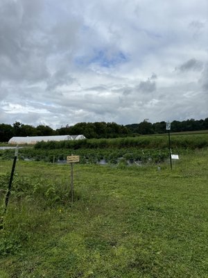 Slow Farm by null