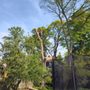 Arbor Work Tree Service