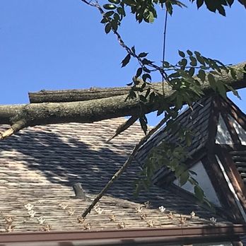 United Tree Service - Snow Removal Near Me United Tree Service - Snow Removal Near Me