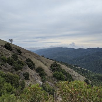 Monte Bello Open Space Preserve - Hiking Near Me - Palo Alto, California Monte Bello Open Space Preserve - Hiking Near Me - Palo Alto, California