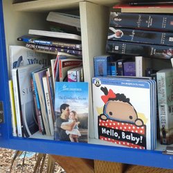 Little Free Library
