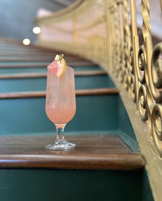 Birdcage Hollywood by null